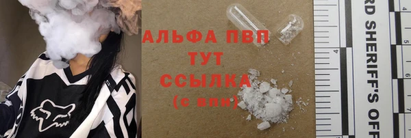 гидра Калининец