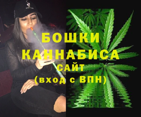 гидра Калининец
