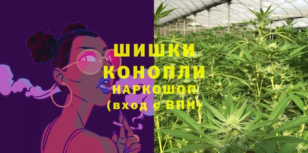 ешки Новосибирск