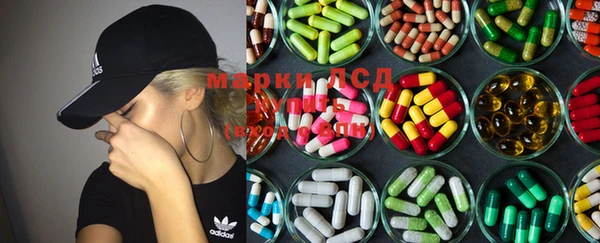 apvp Кущёвская