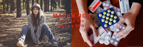 PSILOCYBIN Иноземцево