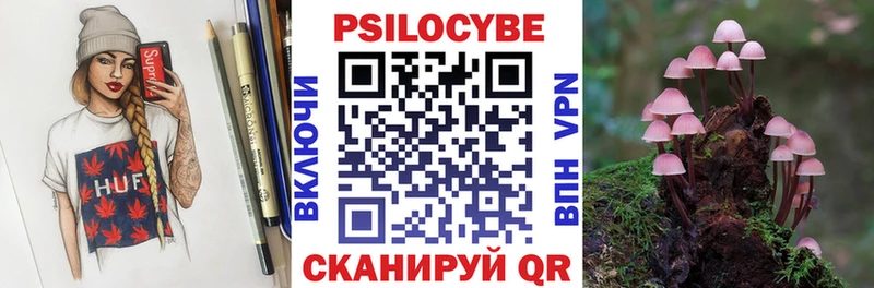 где купить наркотик  Дербент  Псилоцибиновые грибы Psilocybine cubensis 