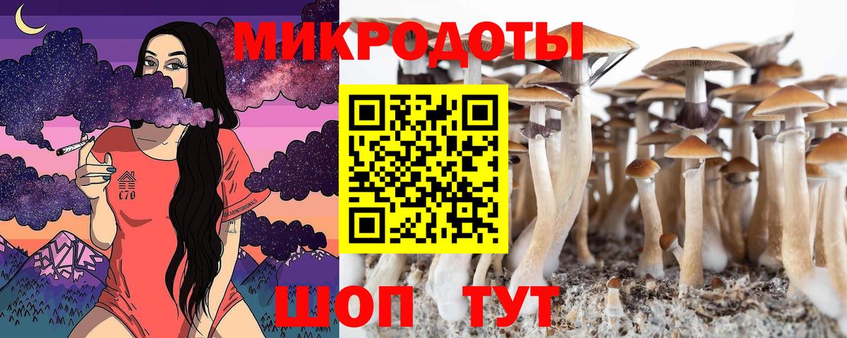 Галлюциногенные грибы GOLDEN TEACHER Дербент